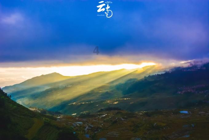 动物帮帮忙保卫家园