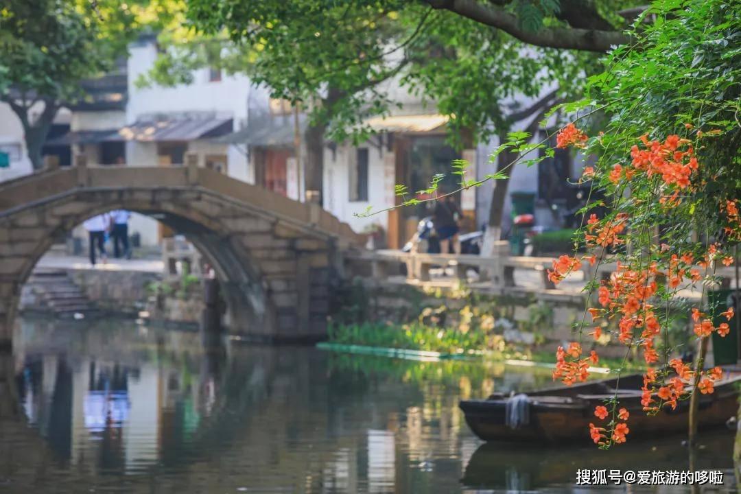探索知识星球平台,加入如何蒸出滑嫩的鸡蛋羹获取无限学习机会